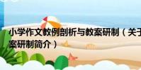 小學作文教例剖析與教案研制(關于小學作文教例剖析與教案研制簡介)