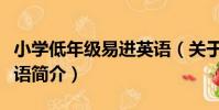 小學低年級易進英語(關于小學低年級易進英語簡介)
