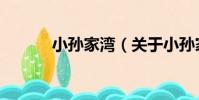 小孫家灣(關于小孫家灣簡介)