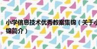 小學信息技術優秀教案集錦(關于小學信息技術優秀教案集錦簡介)