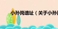 小孫崗遺址(關于小孫崗遺址簡介)