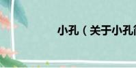 小孔(關于小孔簡介)