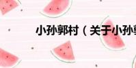 小孫郭村(關于小孫郭村簡介)