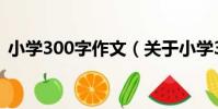 小學300字作文(關于小學300字作文簡介)