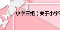 小字三組(關于小字三組簡介)