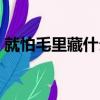 就怕毛里藏什么意思（為什么說最怕毛里藏）