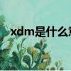 xdm是什么意思縮寫（XDM是什么意思）