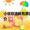小學雙語教育原理與實踐（關于小學雙語教育原理與實踐簡介）