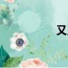 又又醬價格（又又醬）