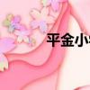 平金小學（關于平金小學介紹）