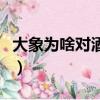 大象為啥對酒感興趣呢（大象為啥對酒感興趣）