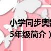 小學同步奧數：5年級（關于小學同步奧數：5年級簡介）