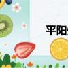 平陽州（關于平陽州介紹）