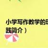 小學寫作教學的理論與實踐（關于小學寫作教學的理論與實踐簡介）