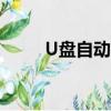 U盤自動播放音樂（u盤自動播放）