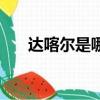 達喀爾是哪個城市（達娜是哪個城市）