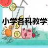 小學各科教學法（關于小學各科教學法簡介）