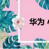 華為 小三 生子（華為 小三）