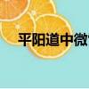 平陽道中微雪（關于平陽道中微雪介紹）