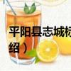 平陽縣志城標牌廠（關于平陽縣志城標牌廠介紹）