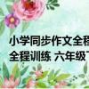 小學同步作文全程訓練 六年級下人教版（關于小學同步作文全程訓練 六年級下人教版簡介）
