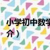 小學初中數學詞典（關于小學初中數學詞典簡介）
