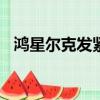 鴻星爾克發緊急通知求大家退款你怎么看?