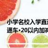 小學名校入學直通車·20以內加減法（關于小學名校入學直通車·20以內加減法簡介）