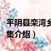 平陰縣欒灣鄉三皇集（關于平陰縣欒灣鄉三皇集介紹）