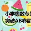 小學奧數專題突破AB卷（關于小學奧數專題突破AB卷簡介）