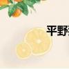 平野猛（關于平野猛介紹）