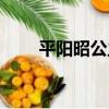 平陽昭公主（關于平陽昭公主介紹）