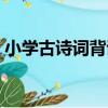 小學古詩詞背誦（關于小學古詩詞背誦簡介）