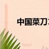 中國菜刀10大品牌排行（中國菜刀）