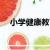 小學健康教育（關于小學健康教育簡介）
