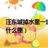 汪東城掉水里一定有人救是什么梗（汪東城掉水里有人救是什么梗）