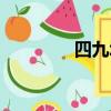 四九城老大是誰（四九城）