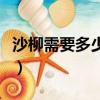 沙柳需要多少能量可以種（沙柳需要多少能量）