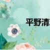 平野清次（關于平野清次介紹）