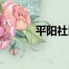 平陽社區（關于平陽社區介紹）