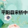 平陽縣宋橋中學（關于平陽縣宋橋中學介紹）