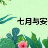 七月與安生講的是什么（七月安生）