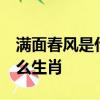 滿面春風是什么生肖,財運享通,步步高升是什么生肖