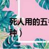 死人用的五谷雜糧是哪5種（五谷雜糧是哪5種）