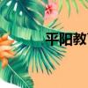 平陽教育（關于平陽教育介紹）