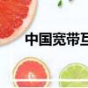 中國寬帶互聯網（中國網通寬帶業務）