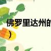 佛羅里達州的貓瑞克和莫蒂（佛羅里達州的貓）