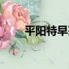 平陽特早茶（關于平陽特早茶介紹）