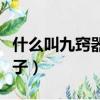 什么叫九竅器玉茄子圖片（什么叫九竅器玉茄子）