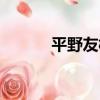平野友樹（關于平野友樹介紹）